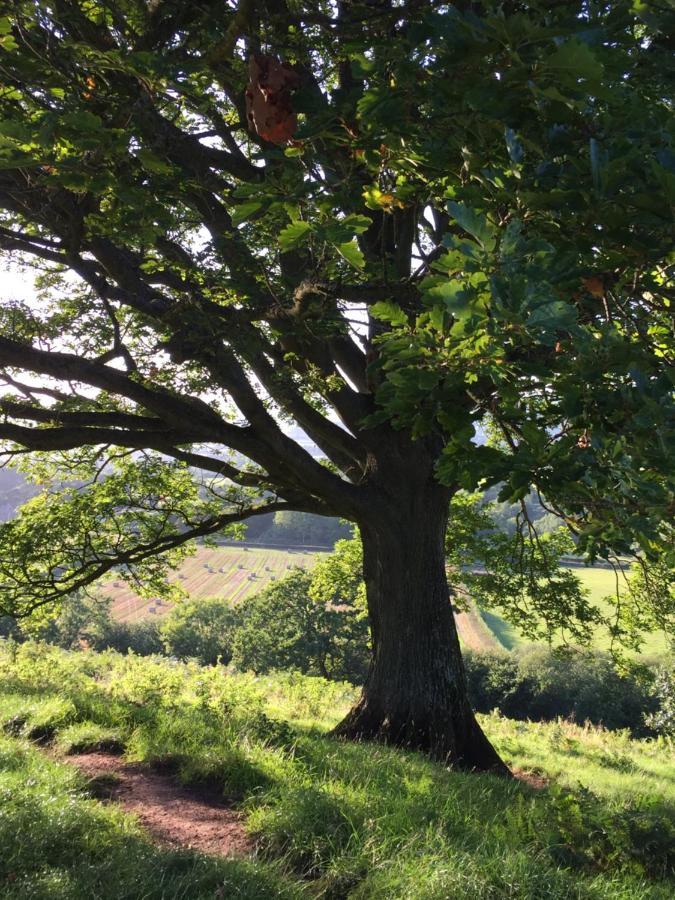 Tegfan Garden Suite Talgarth Esterno foto