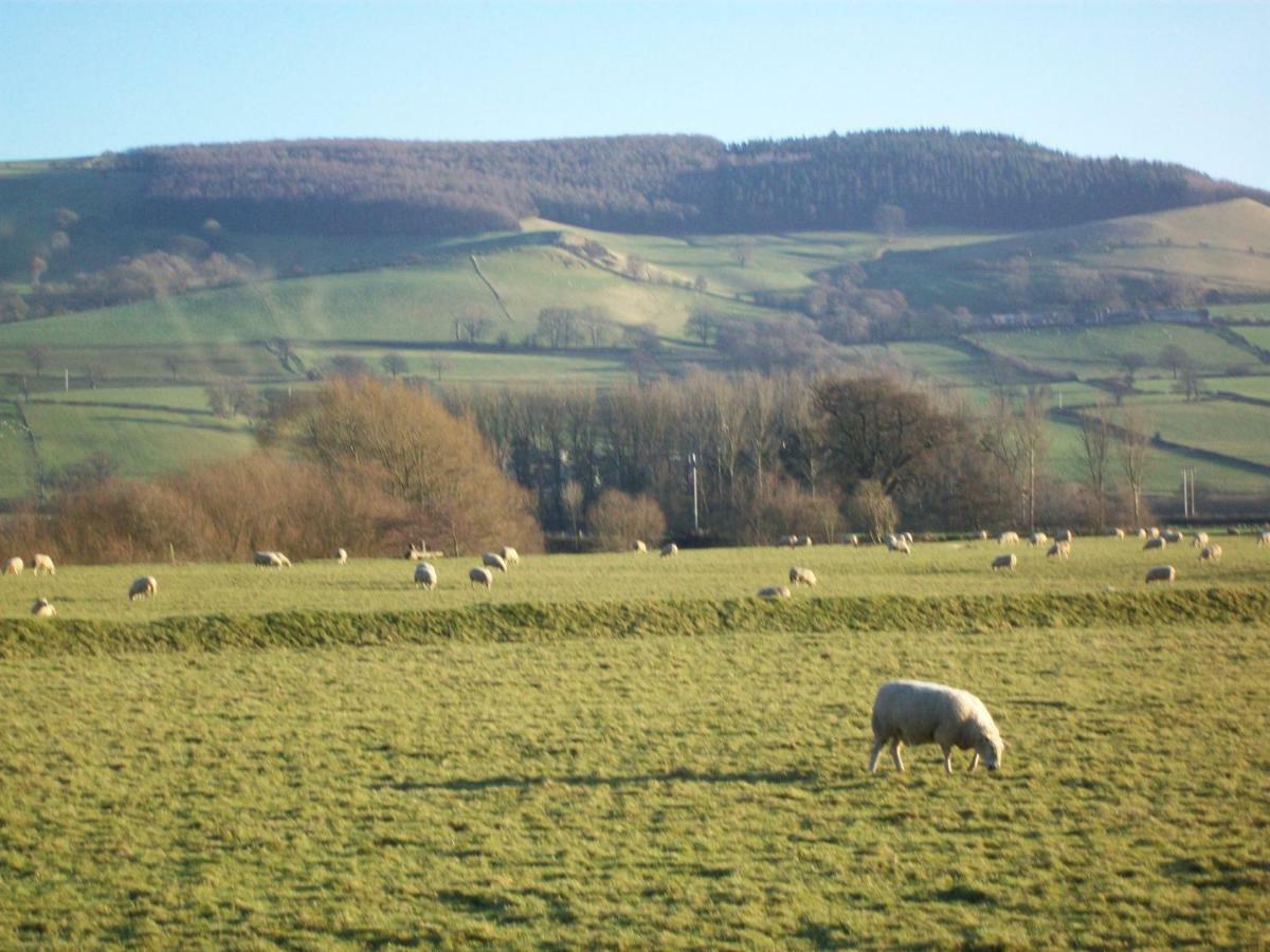 Tegfan Garden Suite Talgarth Esterno foto